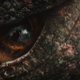 I C U